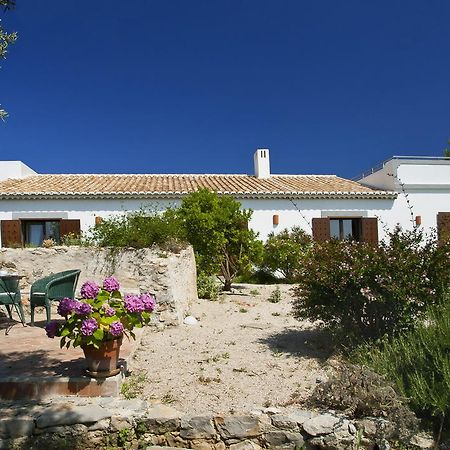 Monte Do Alamo - Turismo Rural Tavira Esterno foto